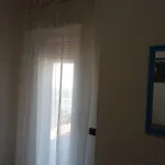 Pinella *