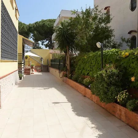 Pinella