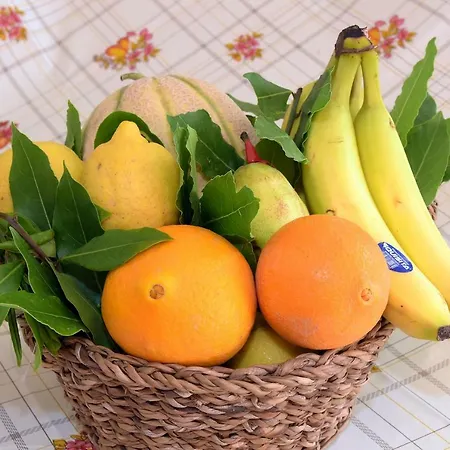 Prázdninový dům Pinella *